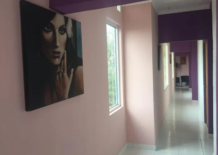 Maven Cilandak